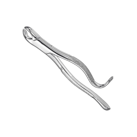 Extracting Forceps
